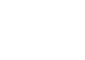 libas logo